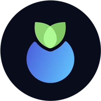 logo Blueberry Protocol