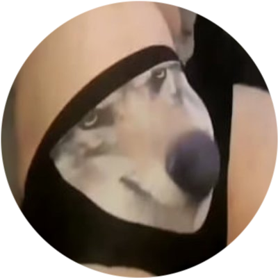logo WolfWifBallz