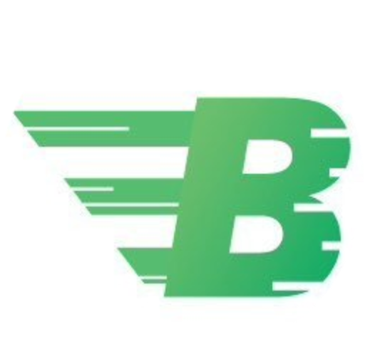 logo Bitcashpay
