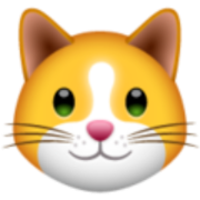 logo KittenFinance