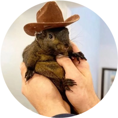 logo Peanut the Squirrel