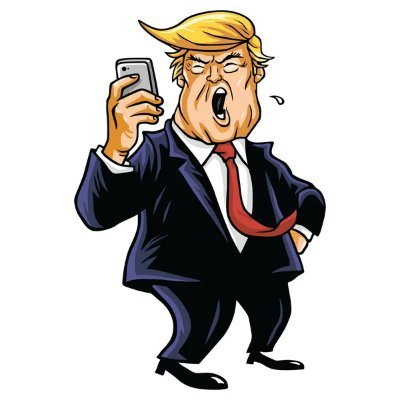 logo Trump Winner