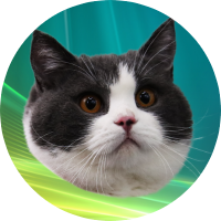 logo Vista Cat