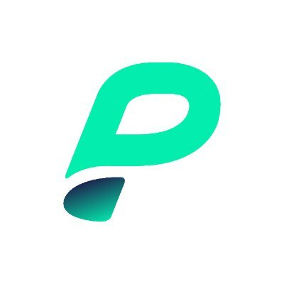 logo Page Network