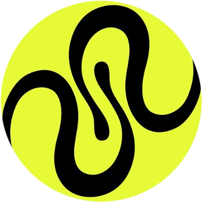 logo Squid
