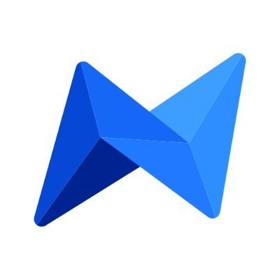 logo Netswap